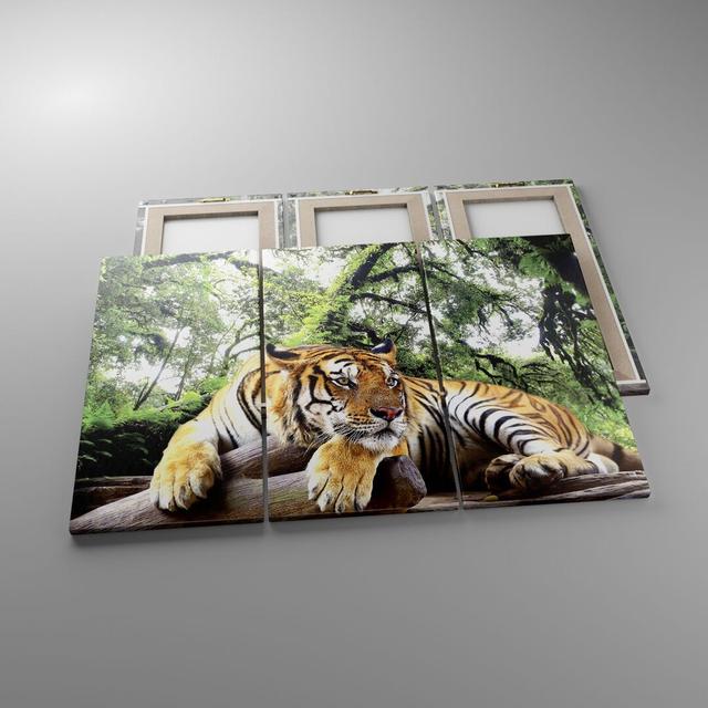 Tiger Jungle Rest - 3 Piece Wrapped Canvas Photograph Ebern Designs Size: 70cm H x 105cm W x 1.8cm D on Productcaster.