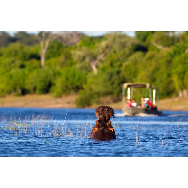 Hippo Warning by LyleGregg - Print Alpen Home Size: 51cm H x 76cm W on Productcaster.