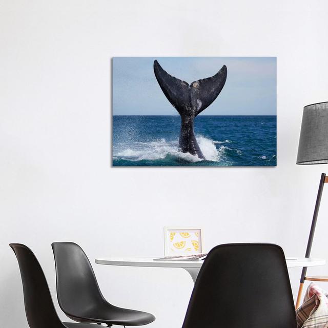 Southern Right Whale Tail Slapping, Peninsula Valdez, Argentina I House of Hampton Size: 66.04cm H x 101.6cm W x 1.91cm D on Productcaster.