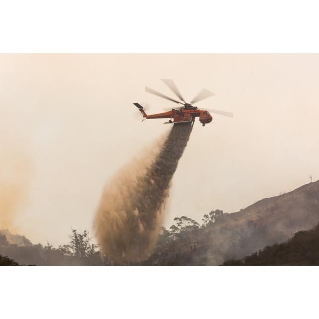 Sky Crane Doing Drops Of Water by Jorge Villalba - Wrapped Canvas Print ClassicLiving Size: 30cm H x 46cm W x 3.8cm D on Productcaster.