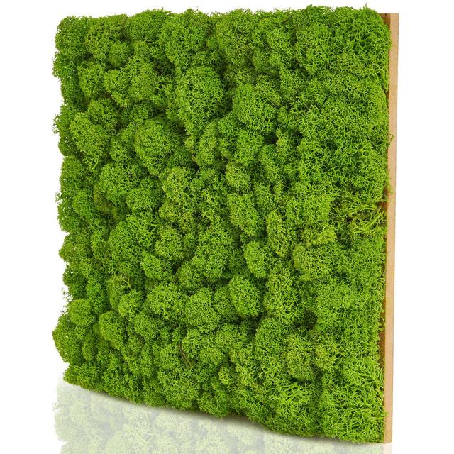 Wall Paneling in Green Symple Stuff Size: 25cm H x 25cm W x 4 cm D on Productcaster.