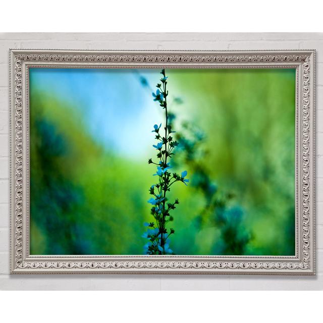 Blossom Blue Flower Framed Print Bright Star Size: 21cm H x 29.7cm W on Productcaster.