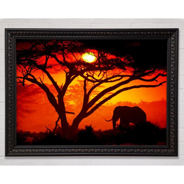 Elephant Safari Sunrise - Single Picture Frame Art Prints Bright Star Size: 29.7cm H x 42cm W on Productcaster.