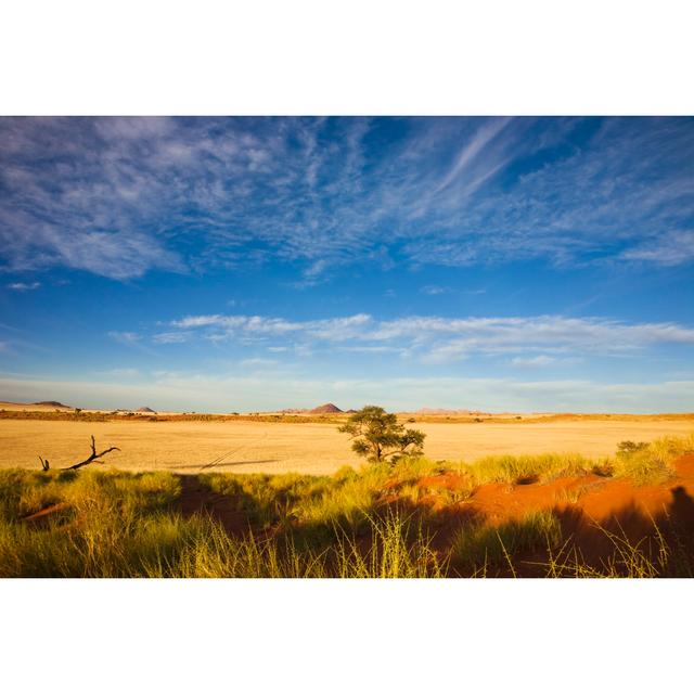 Steppe In The Morning Sun by LucynaKoch - No Frame Print on Canvas 17 Stories Size: 20cm H x 30cm W on Productcaster.