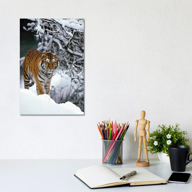 Siberian Tiger Walking in Snow, Siberian Tiger Park, Harbin, China by Konrad Wothe - Wrapped Canvas Graphic Art Natur Pur Size: 30.48cm H x 20.32cm W on Productcaster.