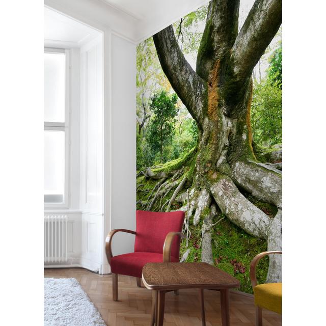 Old Tree 2.88m x 288cm Wallpaper East Urban Home on Productcaster.