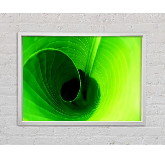 Twist Of A Green Leaf Framed Print Bright Star Size: 100cm H x 141.4cm W x 3.3cm D on Productcaster.