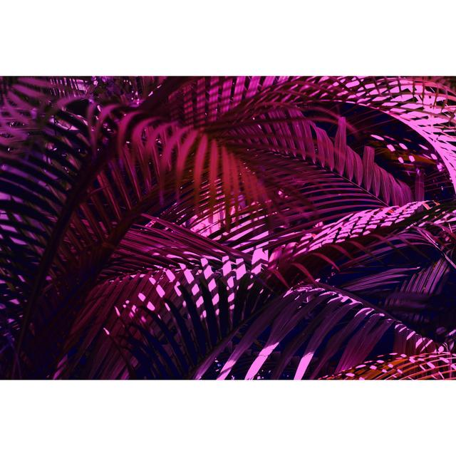 Lenae Closeup of Palm Leaves - Wrapped Canvas Photograph Pergo Classics Size: 51cm H x 76cm W x 3.8cm D on Productcaster.