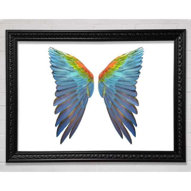 Parrot Vibrant Wings Happy Larry Format: Black Framed Paper, Size: 42cm H x 59.7cm W x 3cm D on Productcaster.