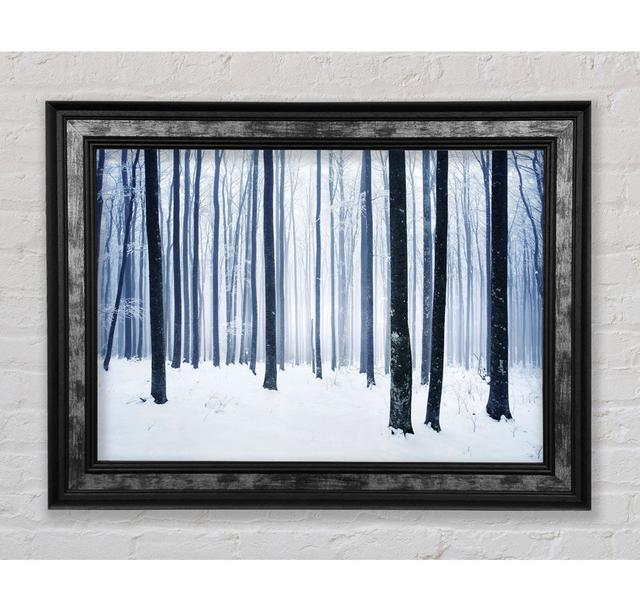 Winter Magic - Single Picture Frame Art Prints Bright Star Size: 59.7cm H x 84.1cm W x 8cm D on Productcaster.