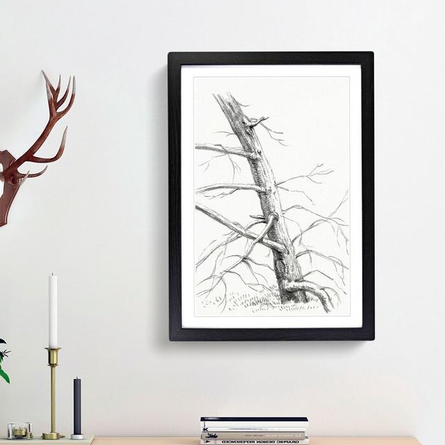 Study of a Tree by Jean Bernard - Picture Frame Painting Print East Urban Home Frame Option: Black Framed, Size: 48cm H x 36cm W x 2cm D on Productcaster.