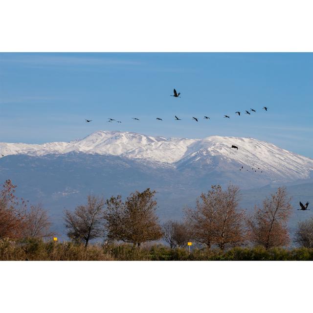 Mount Hermon, Israel by Boryak - Print Alpen Home Size: 61cm H x 91cm W on Productcaster.