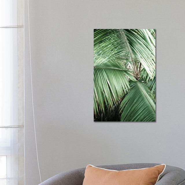 Jungle II by Magda Izzard - Wrapped Canvas Graphic Art Bay Isle Home Size: 66.04cm H x 45.72cm W on Productcaster.