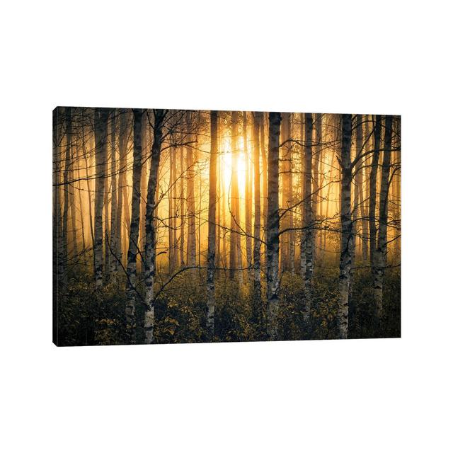 Birches II by Lauri Lohi - Wrapped Canvas Print Alpen Home Size: 30.48cm H x 45.72cm W x 1.905cm D on Productcaster.