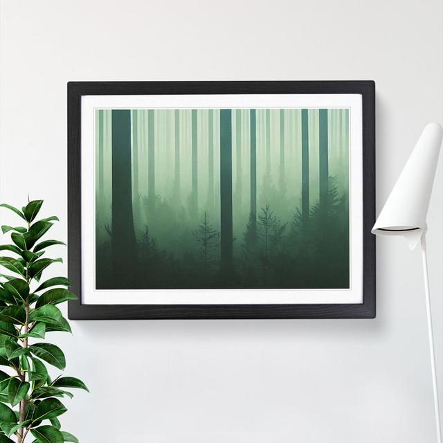 A Head Turning Forest - Single Picture Frame Print Alpen Home Size: 46cm H x 64cm W x 2cm D, Frame Colour: Black on Productcaster.