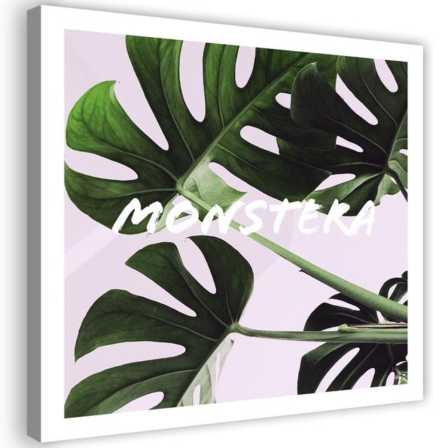 Leinwandbild Monstera Exotic Leaves Sansibar Home Größe: 40 cm H x 40 cm B on Productcaster.