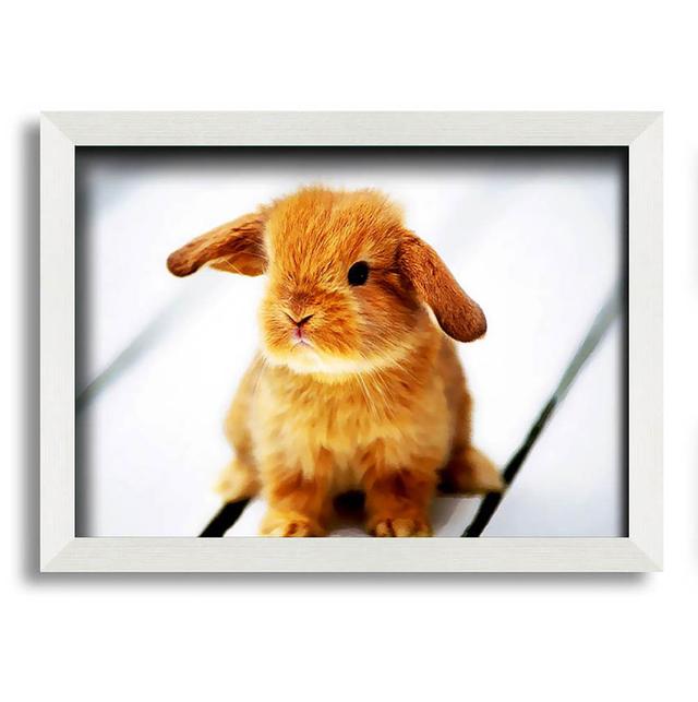 Bunny Rabbit Ears - Single Picture Frame Art Prints Brambly Cottage Size: 21cm H x 29.7cm W x 10cm D on Productcaster.