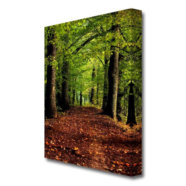 Woodland Path Walk Forest - Wrapped Canvas Photograph East Urban Home Size: 81.3 cm H x 50.8 cm W on Productcaster.