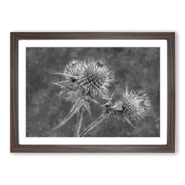 Thistle Flower Vol.5 - Picture Frame Graphic Art on MDF East Urban Home Frame Option: Walnut, Size: 36cm H x 48cm W x 2cm D on Productcaster.