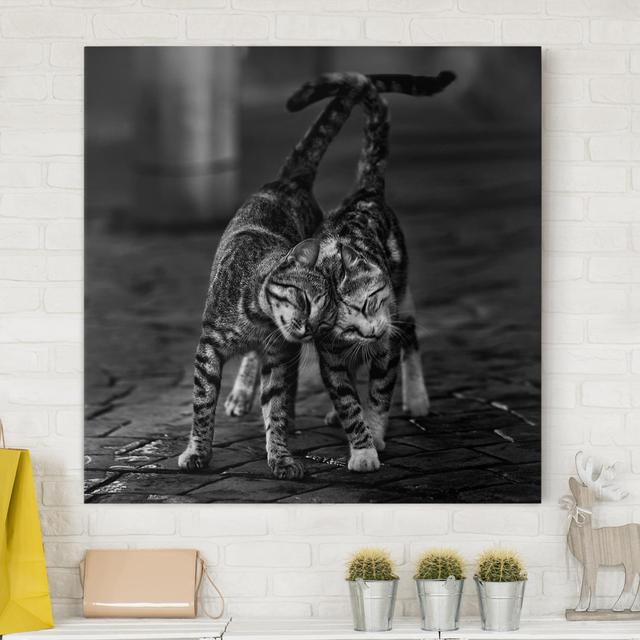 Kätzchenfreundschaft Wrapped Canvas Graphic Art Ebern Designs Format: 260g/m² canvas, Size: 60cm H x 60cm W on Productcaster.