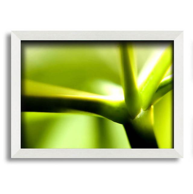 Green Stem - Single Picture Frame Art Prints Latitude Run Size: 21cm H x 29.7cm W on Productcaster.