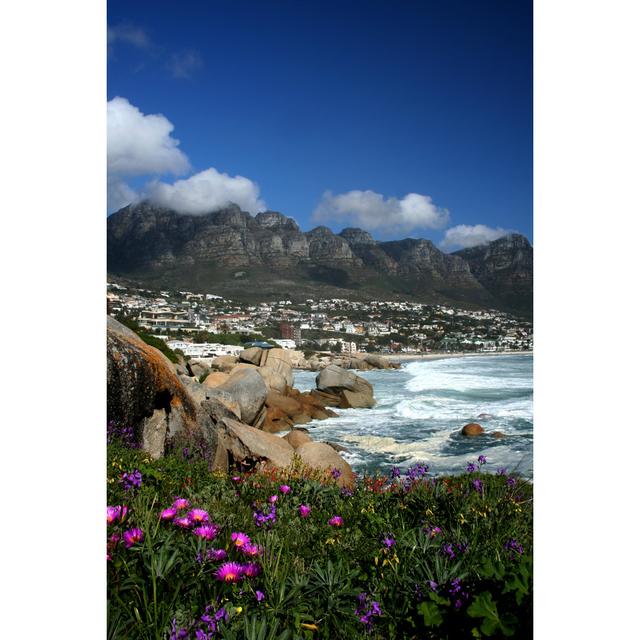 A Picturesque Of Rocks And Flowers by - Wrapped Canvas Photograph Alpen Home Size: 46cm H x 30cm W on Productcaster.