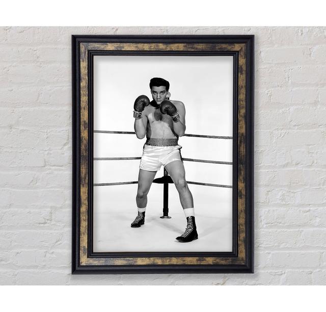 Elvis Presley Boxing Kid - Bilderrahmen Kunstdrucke Bright Star Größe: 29,7 cm H x 42 cm B on Productcaster.