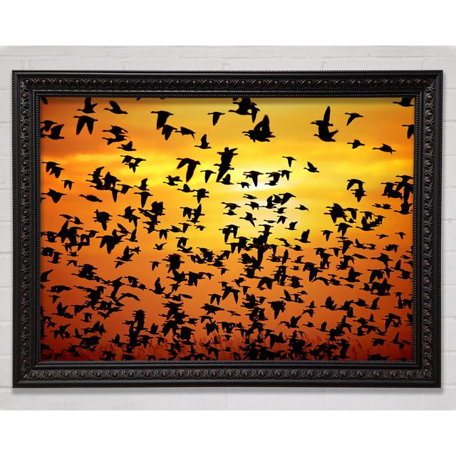 Flight Of The Silveren Birds Framed Print Bright Star Size: 42cm H x 59.7cm W on Productcaster.