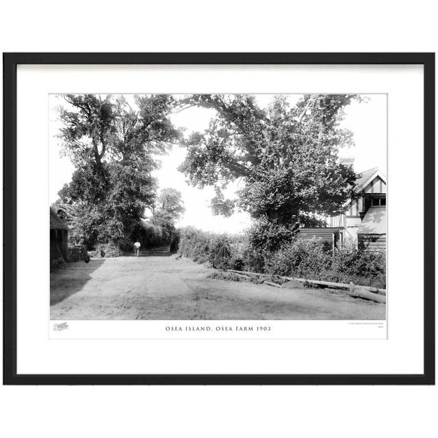 Osea Island, Osea Farm 1903 by Francis Frith - Single Picture Frame Print The Francis Frith Collection Size: 28cm H x 36cm W x 2.3cm D on Productcaster.