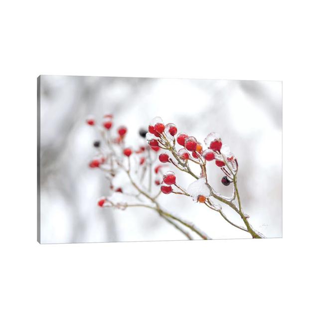 Winter Berries II by Felicity Bradley - Wrapped Canvas Art Prints Rosalind Wheeler Size: 45.72cm H x 66.04cm W x 3.81cm D on Productcaster.