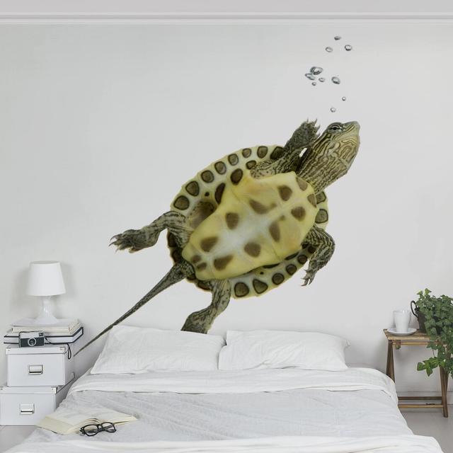 Swimming Turtle 1.92m x 1.92m Textured Matt Peel & Stick Wall Mural East Urban Home Size: 240cm L x 240cm W on Productcaster.