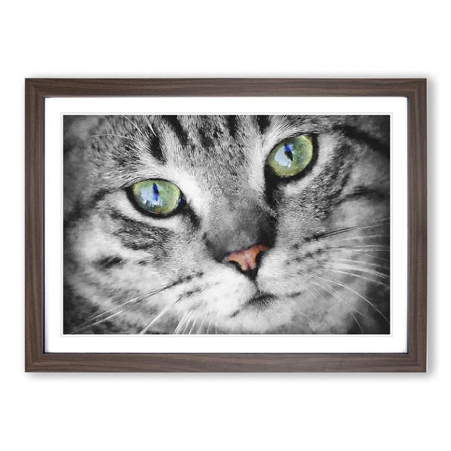 Portrait of a Cat Vol.2 - Picture Frame Painting East Urban Home Size: 48cm H x 65cm W x 2cm D, Frame Option: Walnut Framed on Productcaster.