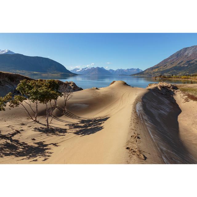 Sand Dunes of Carcross Desert, the Smallest Desert in the World Yukon Canada by Jef Wodniack - Wrapped Canvas Photograph Gracie Oaks Size: 20"H x 30"W on Productcaster.