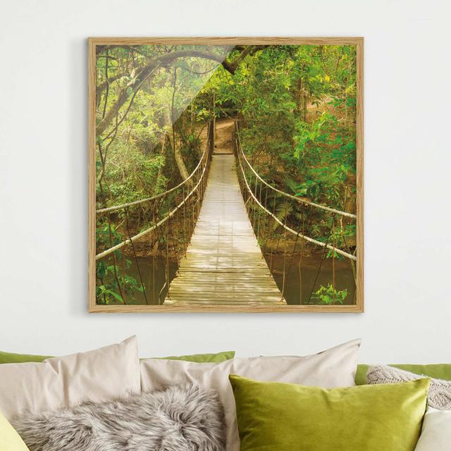 Jungle Bridge - Picture Frame Photograph Union Rustic Size: 70cm H x 70cm W x 2cm D, Frame Option: Brown Framed on Productcaster.