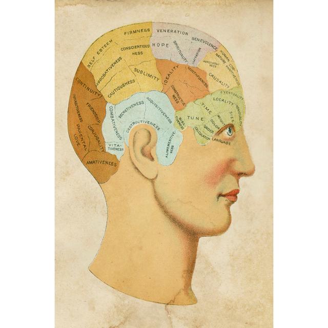 Vintage Phrenology by Vision Studio - Wrapped Canvas Graphic Art Marlow Home Co. Size: 46cm H x 30cm W on Productcaster.