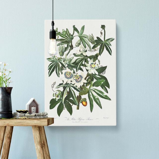 Bluecrown Passionflowers - Wrapped Canvas Painting Brambly Cottage Size: 50 cm H x 35 cm W on Productcaster.