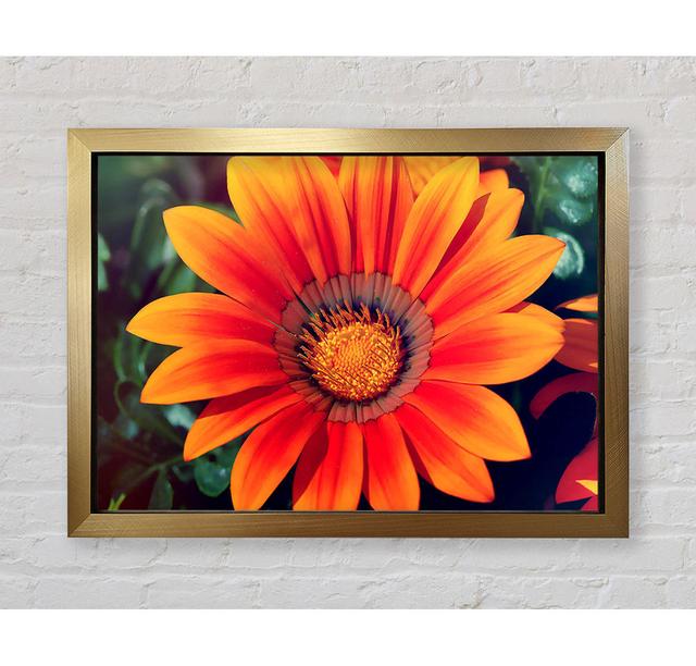 Spring Lover - Single Picture Frame Art Prints Bright Star Size: 59.7cm H x 84.1cm W x 3.4cm D on Productcaster.