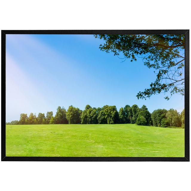 Urbain Beauty Landscape Of Grass Field With Forest Trees And Environment Public Park With Sun Rays - Single Picture Frame Print Latitude Run Size: 31c on Productcaster.