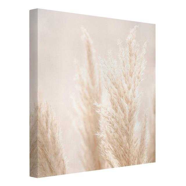 Pampas Grass in the Sunlight - Wrapped Canvas Graphic Art Ebern Designs Size: 60cm H x 60cm W on Productcaster.