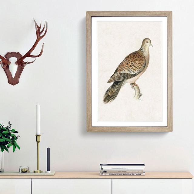 Oriental Turtle Dove by Von Wright - Picture Frame Painting Print East Urban Home Frame Option: Oak Framed, Size: 36cm H x 27cm W x 2cm D on Productcaster.