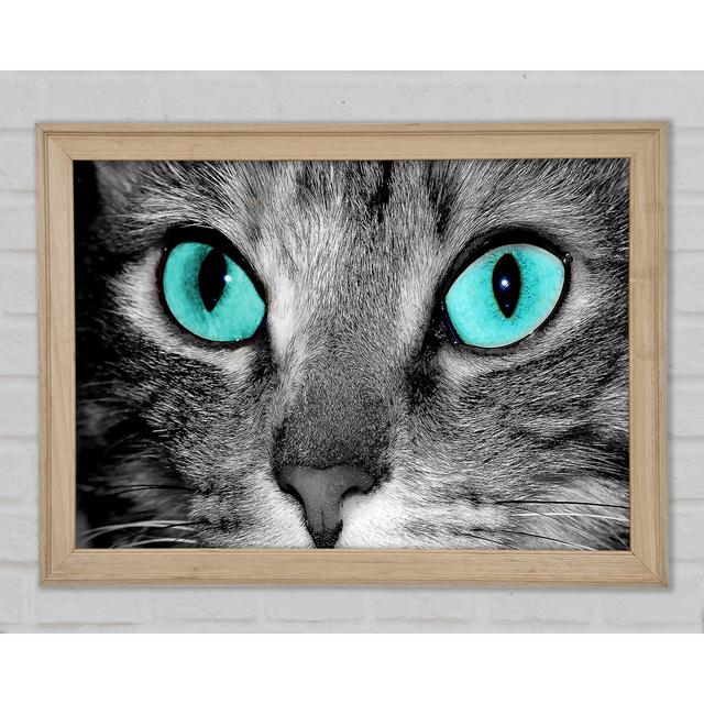 Close Up Of A Grey Tabby Cat Face - Single Picture Frame Art Prints Ebern Designs Size: 42cm H x 59.7cm W x 1.5cm D on Productcaster.