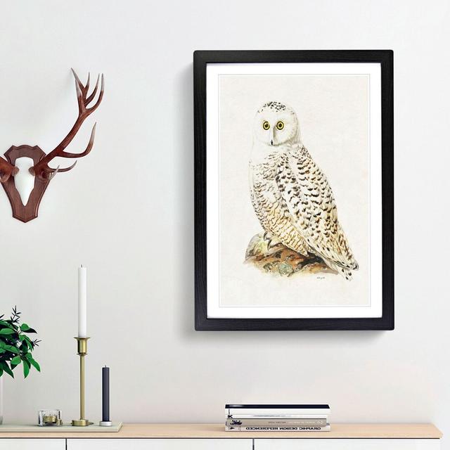 Snowy Owl by Von Wright - Picture Frame Painting Print on MDF East Urban Home Size: 48cm H x 36cm W x 2cm D, Frame Option: Black Framed on Productcaster.