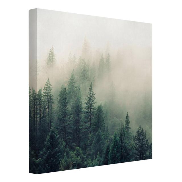 Forest Awakening in the Fog - Wrapped Canvas Photograph Union Rustic Size: 60cm H x 60cm W on Productcaster.