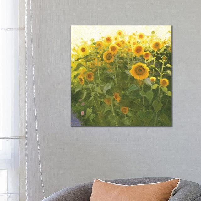 Sunflower Field by Shirley Novak - Wrapped Canvas Gallery-Wrapped Canvas Giclée August Grove Size: 66.04cm H x 66.04cm W on Productcaster.