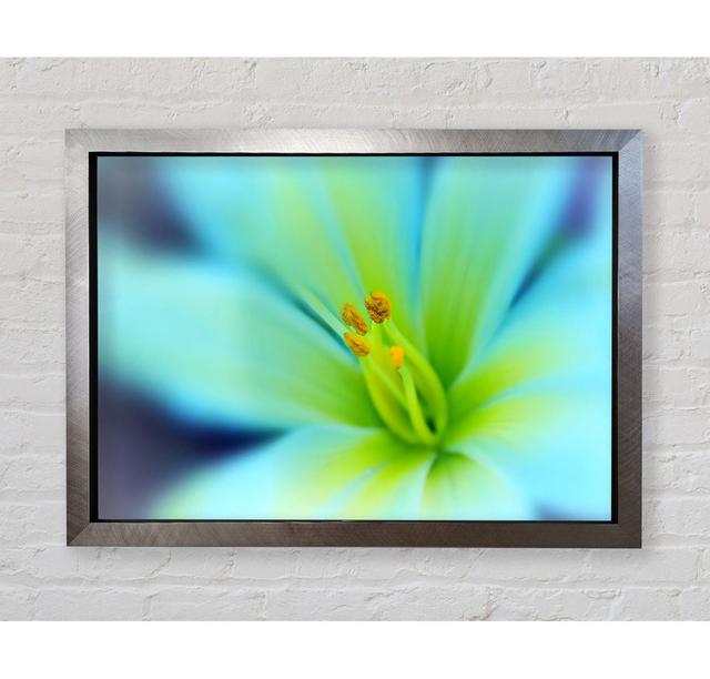 Dreamy Flower - Single Picture Frame Art Prints Bright Star Size: 42cm H x 59.7cm W x 3.4cm D on Productcaster.