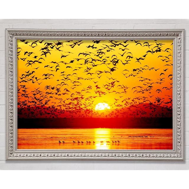 The Birds In The Golden Sunset - Single Picture Frame Art Prints Bright Star Size: 29.7cm H x 42cm W x 3cm D on Productcaster.