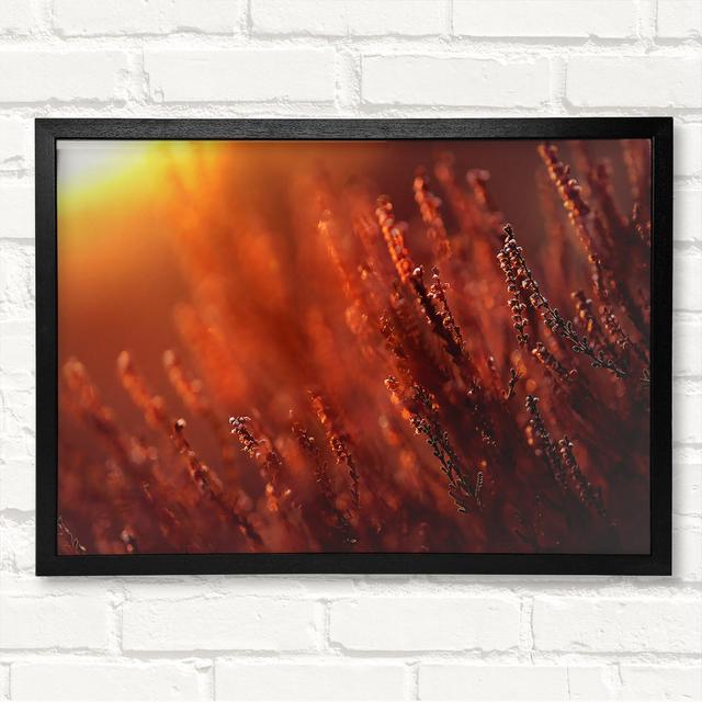 Sun Glare Framed Print Latitude Run Size: 21cm H x 29.7cm W on Productcaster.