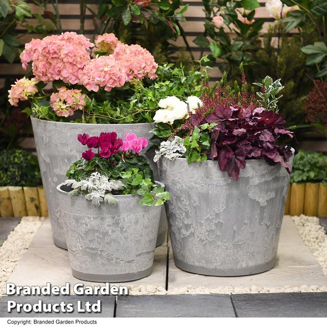 Danilo Planter Latitude Run on Productcaster.