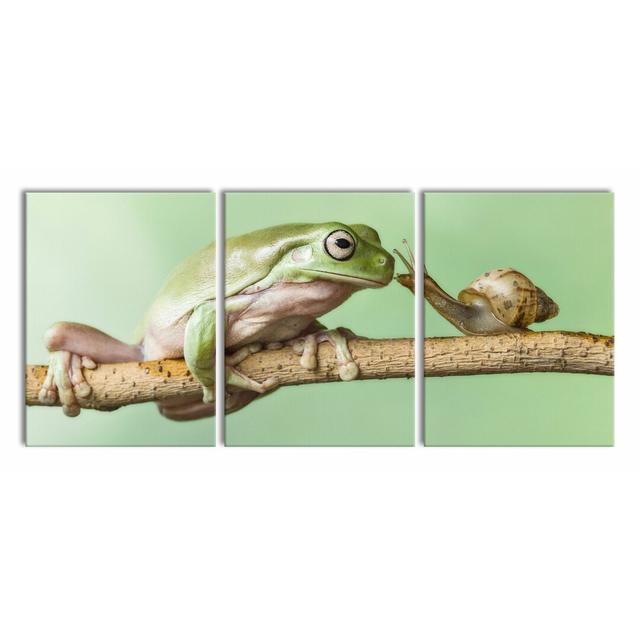 Frog And Snail - 3 Piece Wrapped Canvas Print East Urban Home Size: 80cm H x 180cm W on Productcaster.