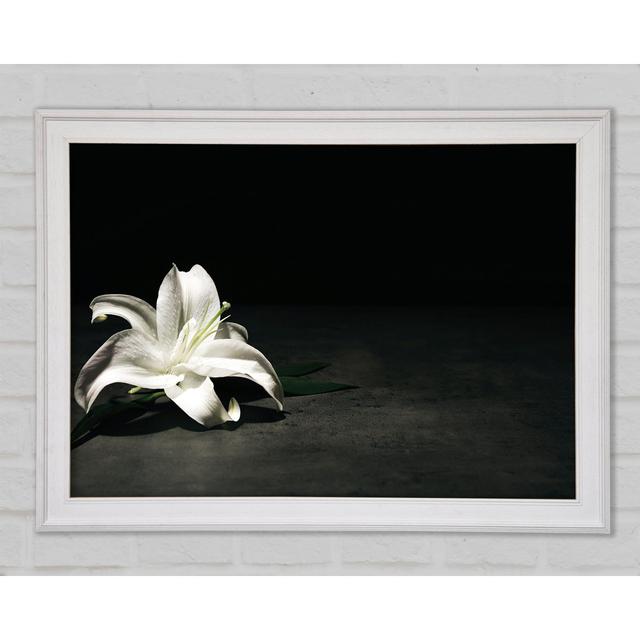 White Lilly On The Floor Framed Print Rosalind Wheeler Size: 59.7cm H x 84.1cm W x 1.5cm D on Productcaster.